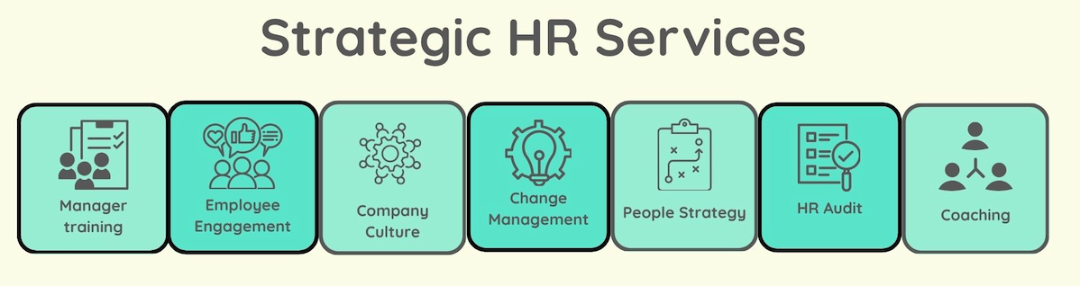 Exeter HR Consultant Strategic HR Manager Training, employee engagement, culture, change, people strategy, HR Audit, leadership coaching